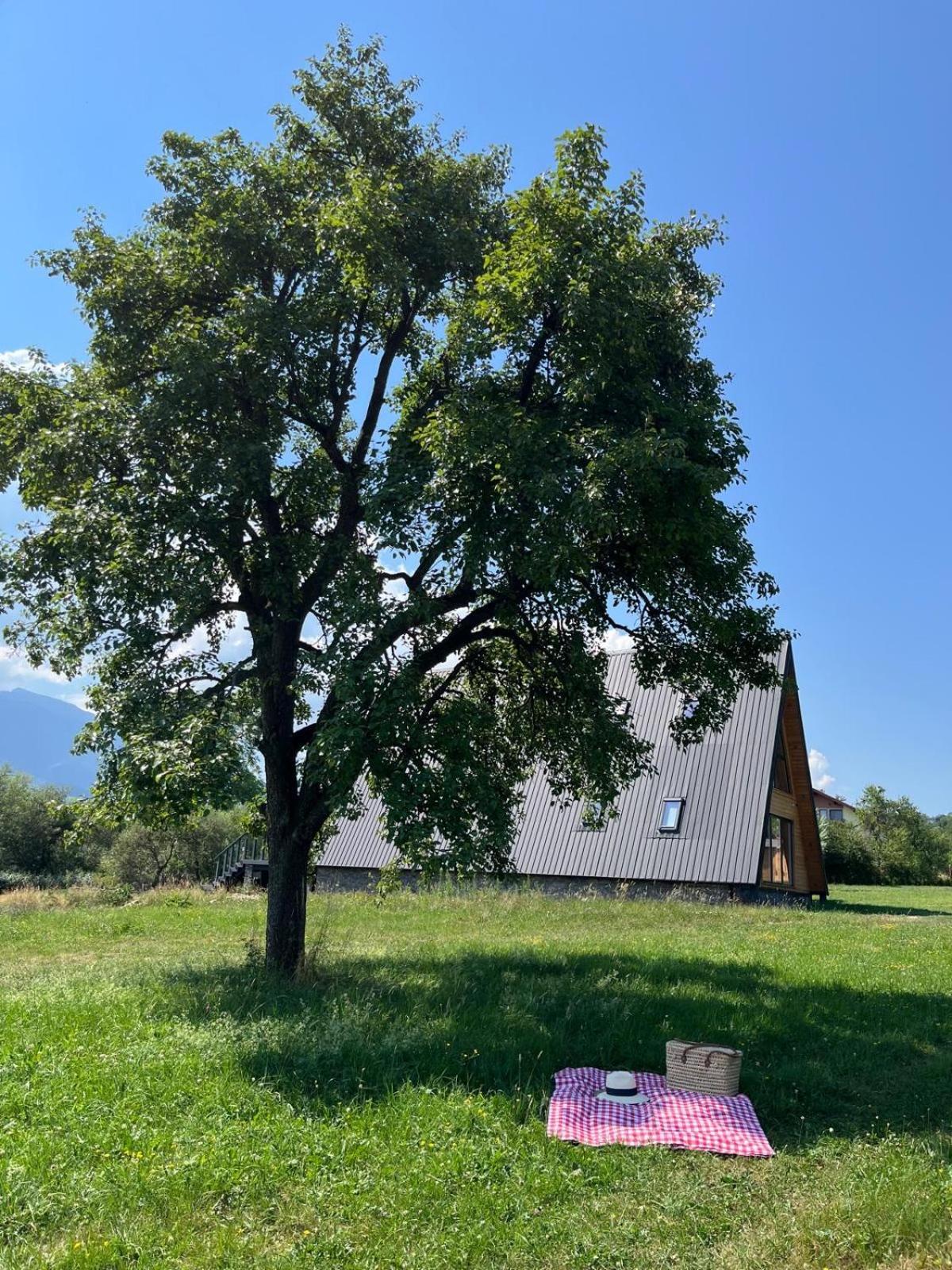 Vino Chalets Bran Sohodol  Exterior foto